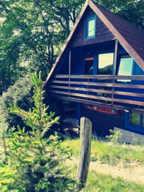 Domek pod bukami in Wiezyca